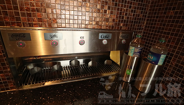 デトロイト空港 デルタ航空スカイクラブラウンジ