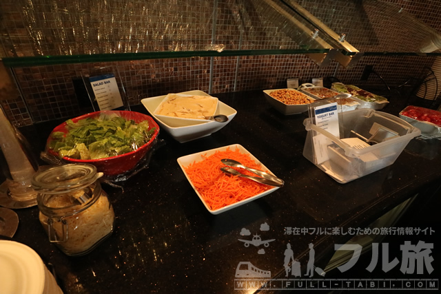 デトロイト空港 デルタ航空スカイクラブラウンジ