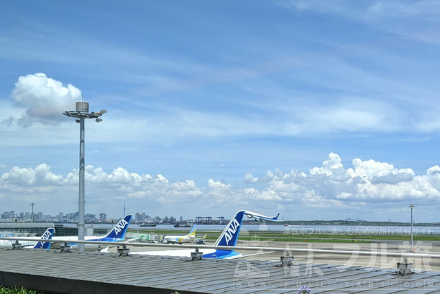 羽田空港から関西空港へ初ANAフライト