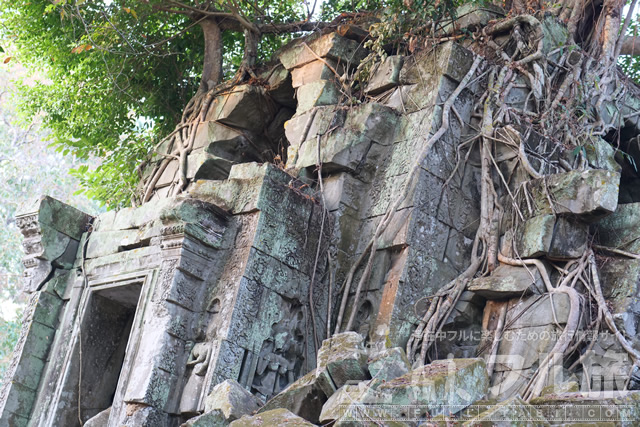 ベンメリア遺跡の行き方、入園料、開場時間、撮影スポットまとめ