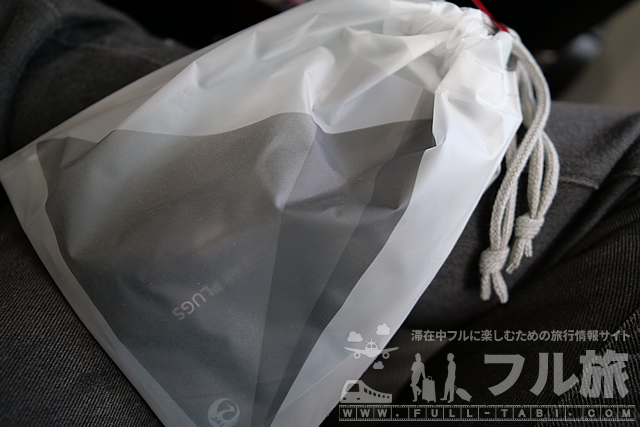 【搭乗記】シドニー - 成田 JALプレミアムエコノミー(2019年6月)