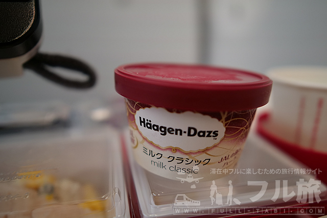 【搭乗記】成田 - シドニー|JAL|プレエコ・バルクヘッド席