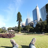 シドニーの中心にある憩いの場、ハイドパーク