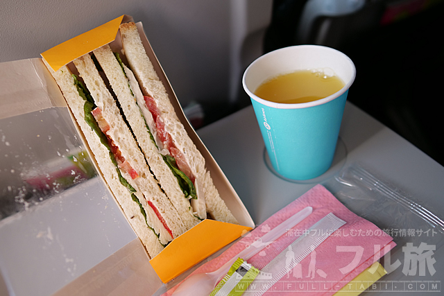 【搭乗記】成田-ウラジオストク|S7航空エコノミークラス(2019年6月)